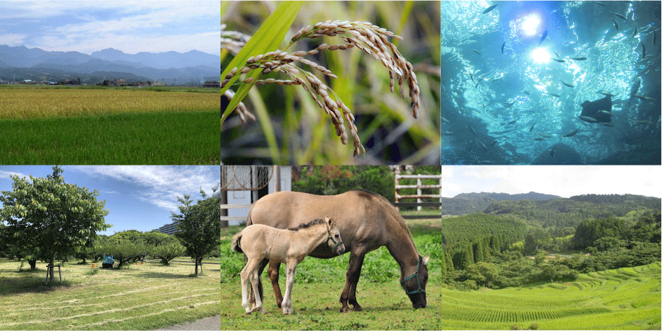 Association of Japanese Agricultural Scientific Societies